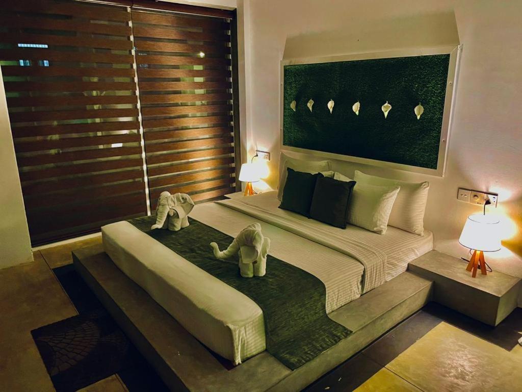 8+ Plus Motels Negombo Extérieur photo